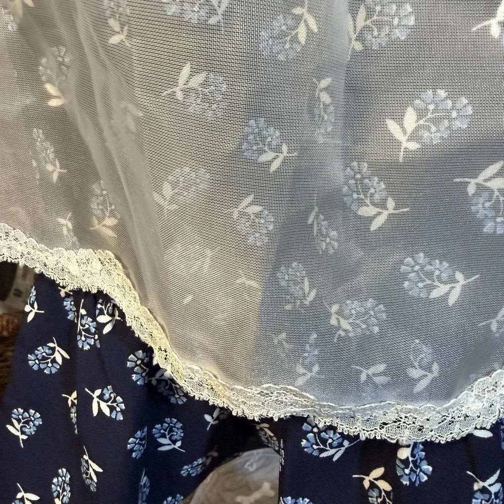 Vintage Cottagecore Apron Set Crochet Lace Embroidered Rose Sheer Hostess